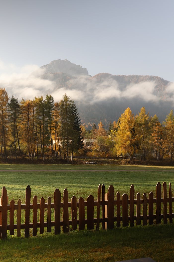 Captivating autumn landscape of Dolomites, Italy with misty mountains and vibrant foliage.